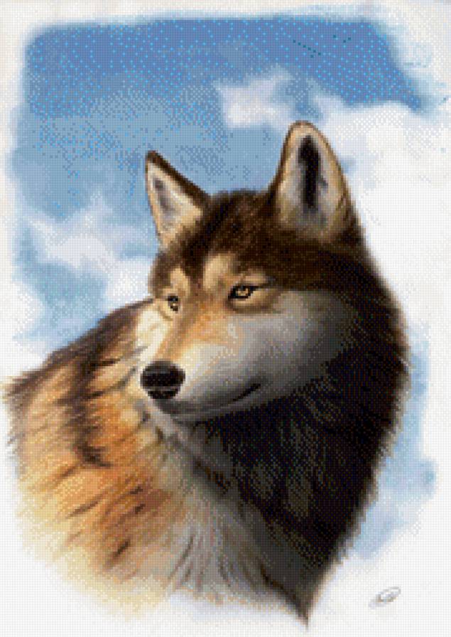 волк - волки, дикая природа, волк, природа - предпросмотр