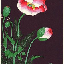 Оригинал схемы вышивки «цветочек мака» (№594530)