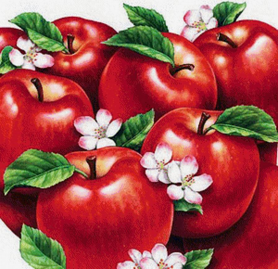 красные яблочки - для кухни - предпросмотр