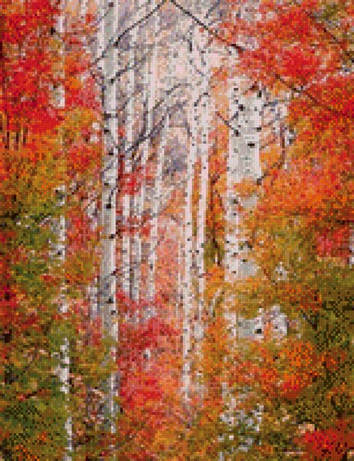 осенний лес - лес, природа, пейзаж, осень - предпросмотр