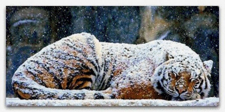тигр под снегом - зима, тигр, снег - предпросмотр
