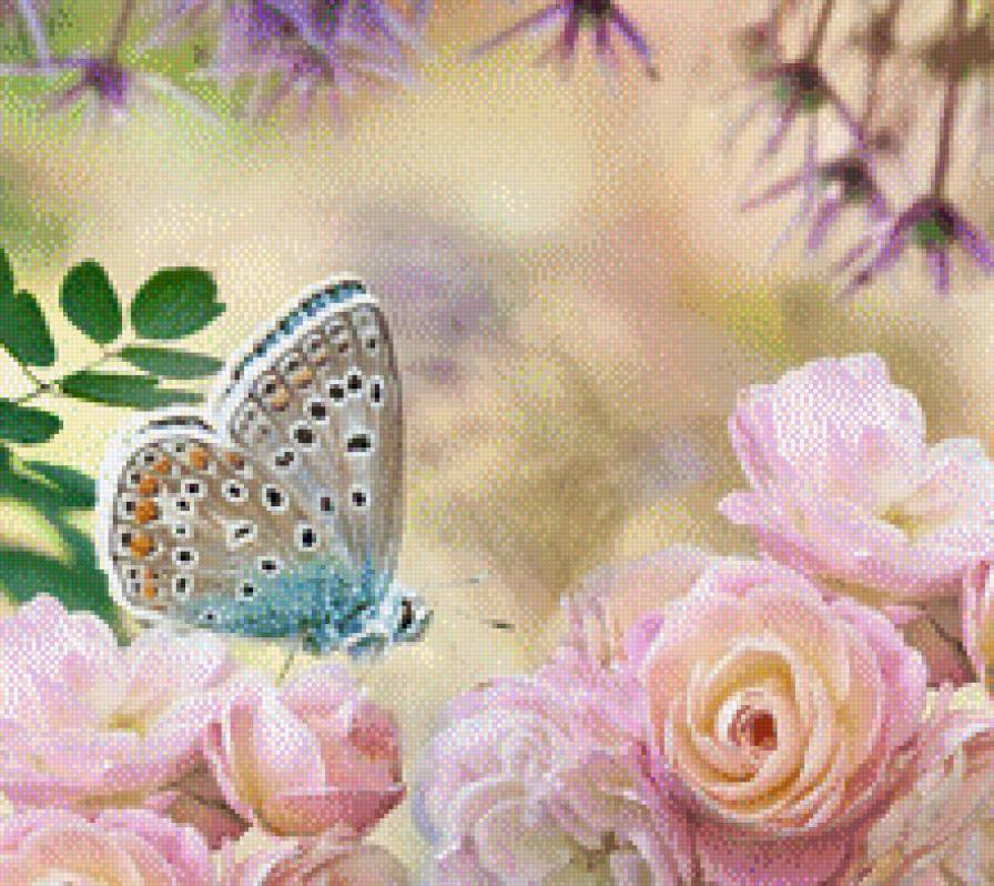 Бабочка - цветок, бабочка, роза - предпросмотр
