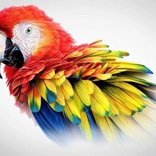 Оригинал схемы вышивки «попугай» (№595429)