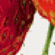 Предпросмотр схемы вышивки «ягоды» (№595450)