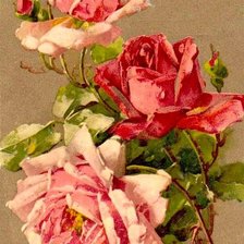 Оригинал схемы вышивки «розы» (№595633)