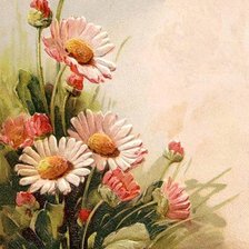 Оригинал схемы вышивки «цветы» (№595758)