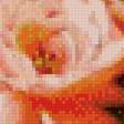 Предпросмотр схемы вышивки «корзина роз» (№596272)
