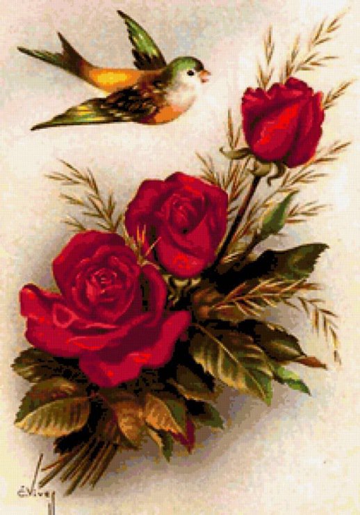 Цветы и птичка - розы, птичка - оригинал