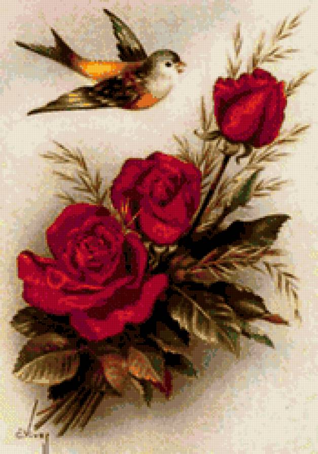 Цветы и птичка - розы, птичка - предпросмотр