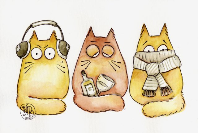 Серия"Коты"художницы Марии Ван Брюгген - приколы, животные, кот - оригинал
