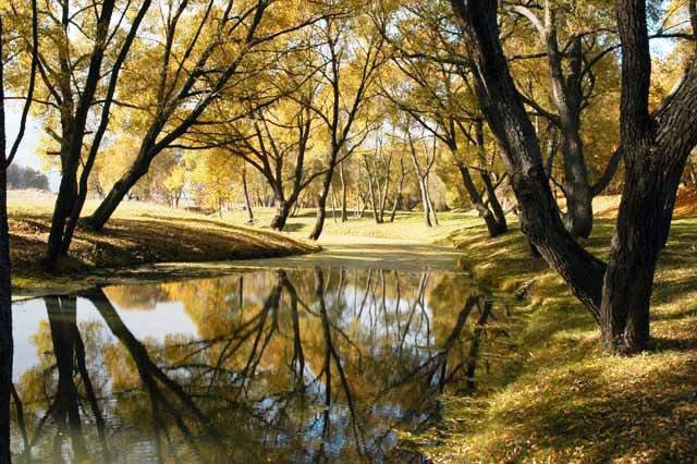 осень - природа, осень, лес, пруд, красота - оригинал