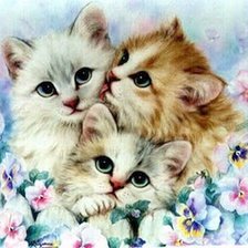 Котики в цветах