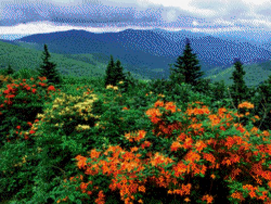 В горах - природа, цветы, горы - предпросмотр