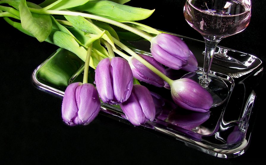 тюльпаны - интерьер, цветы, тюльпаны - оригинал