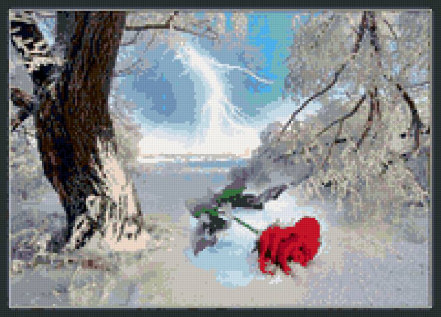 роза на снегу - зима - предпросмотр