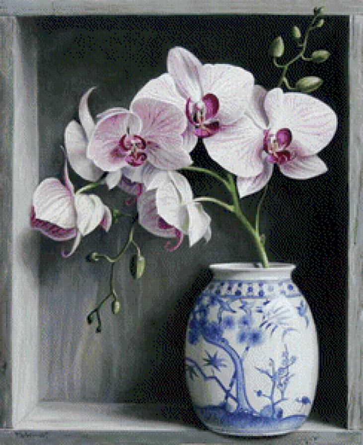 орхидея - ваза, орхидея - предпросмотр