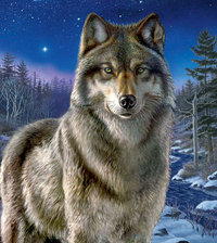 Оригинал схемы вышивки «Волк» (№599191)