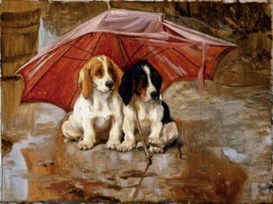 двое под зонтом - зонт, собака, дождь - предпросмотр