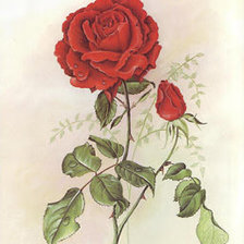 Оригинал схемы вышивки «Роза» (№600000)