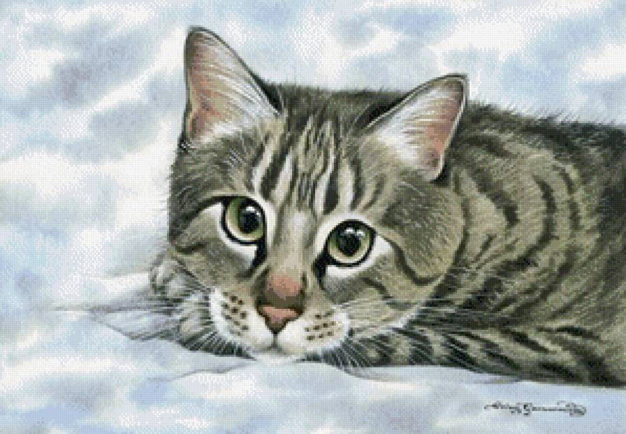 Кошка на снегу - кошки, зима, снег - предпросмотр