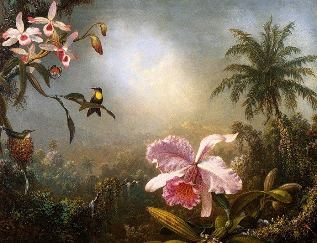 орхидея - орхидея, птичка, цветы - оригинал