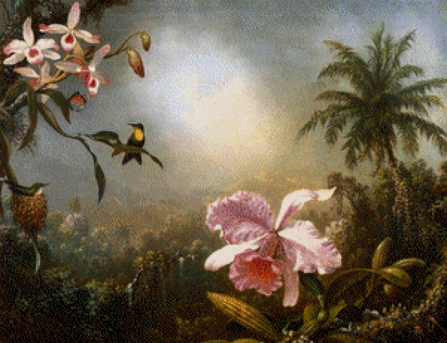 орхидея - цветы, орхидея, птичка - предпросмотр