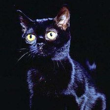 Оригинал схемы вышивки «Черный кот» (№600666)