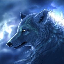 Ночной волк