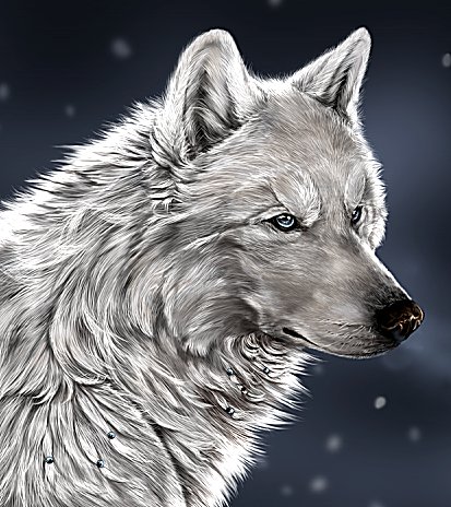 Волк - волки, животные - оригинал