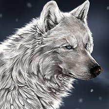 Оригинал схемы вышивки «Волк» (№600943)