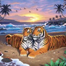тигриная семья
