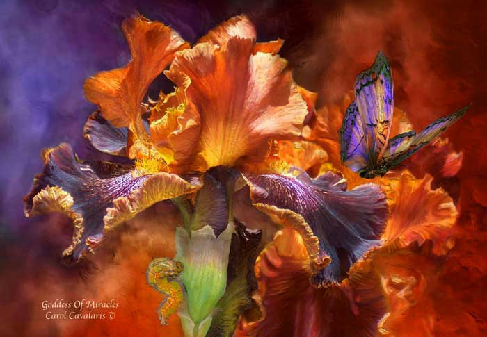 Carol Cavalaris - цветы, волшебство, природа - оригинал