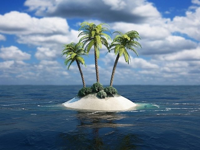 Пальмы - остров, пальмы, океан, пейзаж, растения, море, вода - оригинал