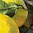 Предпросмотр схемы вышивки «лимон» (№601140)