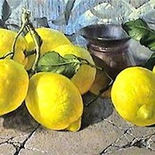 Оригинал схемы вышивки «лимон» (№601140)