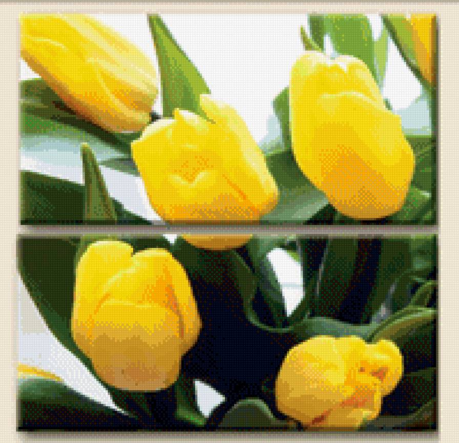 желтые тюльпаны - триптих, тюльпаны, цветы, букет - предпросмотр