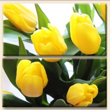 Схема вышивки «желтые тюльпаны»
