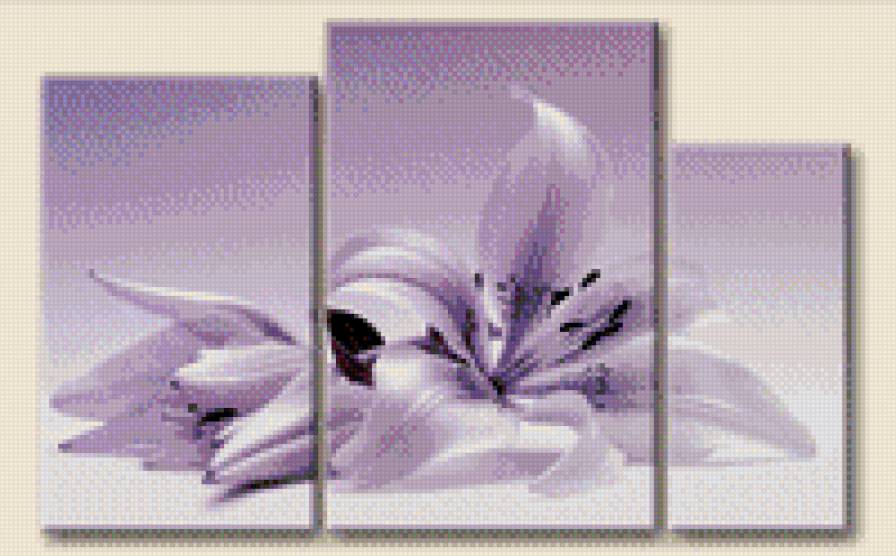 лилия - цветы, черно белое, триптих - предпросмотр
