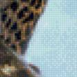 Предпросмотр схемы вышивки «леопард» (№601487)