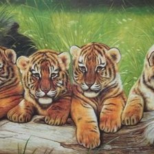 Оригинал схемы вышивки «тигрята» (№601505)