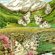 Оригинал схемы вышивки «пейзаж с бабочками» (№601523)