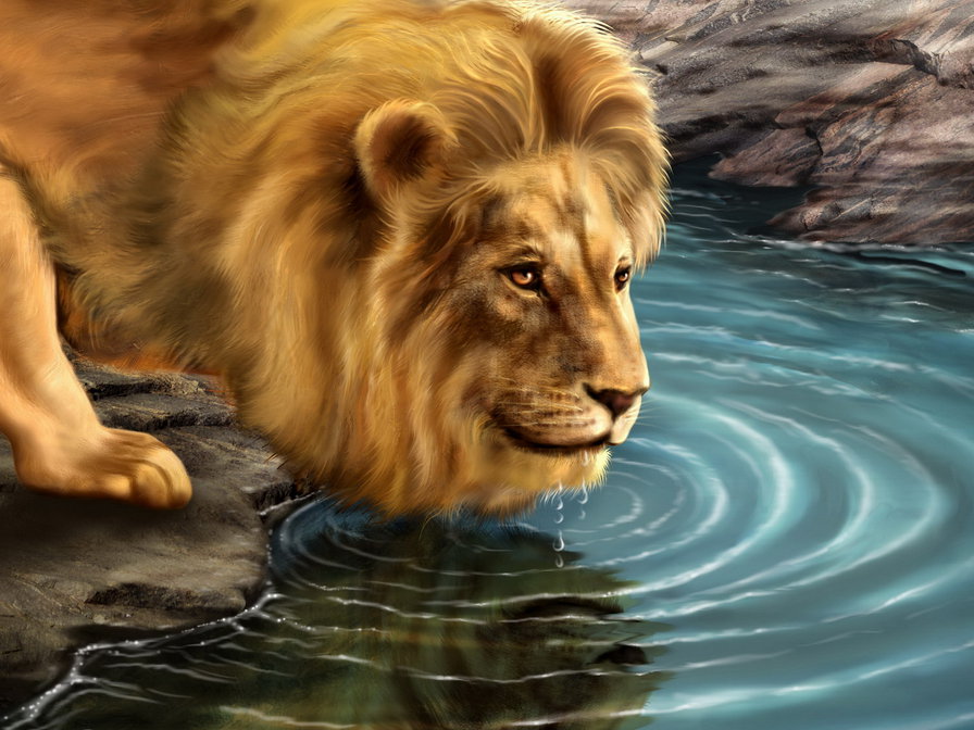Лев - животные, царь зверей, львы - оригинал