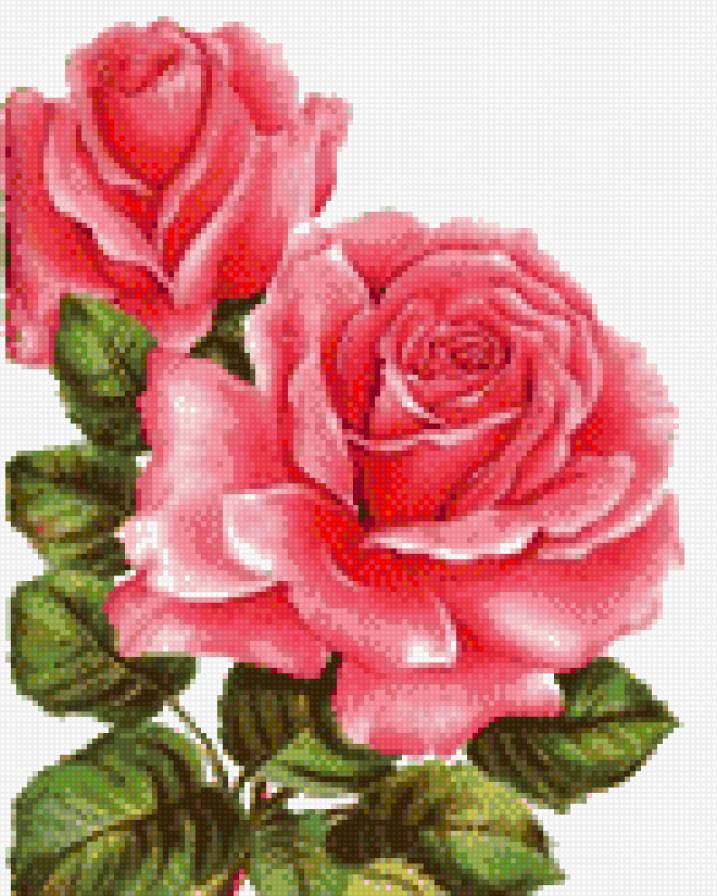 Роза - роза, мини-вышивка, розочка, цветок, розы, цветы, флора - предпросмотр