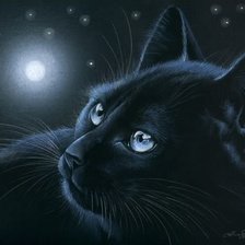 Оригинал схемы вышивки «черная кошка» (№601956)