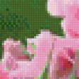 Предпросмотр схемы вышивки «Розовые розы» (№602237)