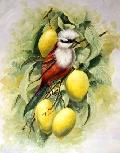 птица в лимонах - лимоны, птицы - оригинал