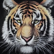 Оригинал схемы вышивки «тигр» (№602957)