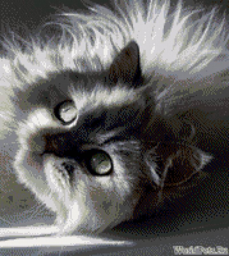 нежная - кошка, белая кошка, зеленые глаза - предпросмотр