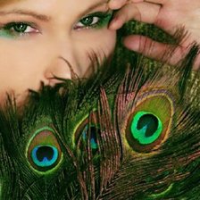 Схема вышивки «глаза и перья павлина»