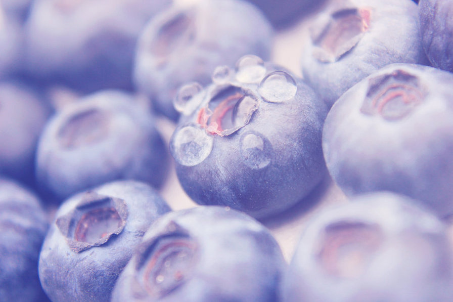 Blueberries - ягоды, фрукты - оригинал